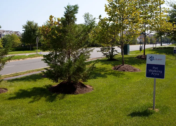 Candlewood Suites Washington-Dulles Herndon By Ihg